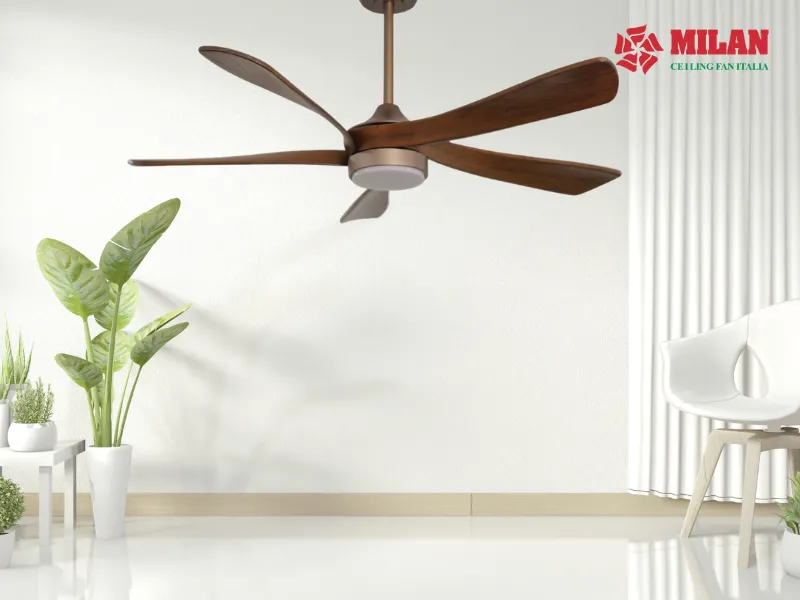 quat-tran-va-quat-treo-tuong-3